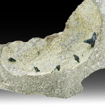 Libethenite from Nkana Mine, Copperbelt Province, Zambia