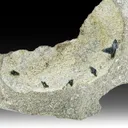 Libethenite from Nkana Mine, Copperbelt Province, Zambia - image 1