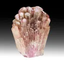 Liddicoatite - image 1