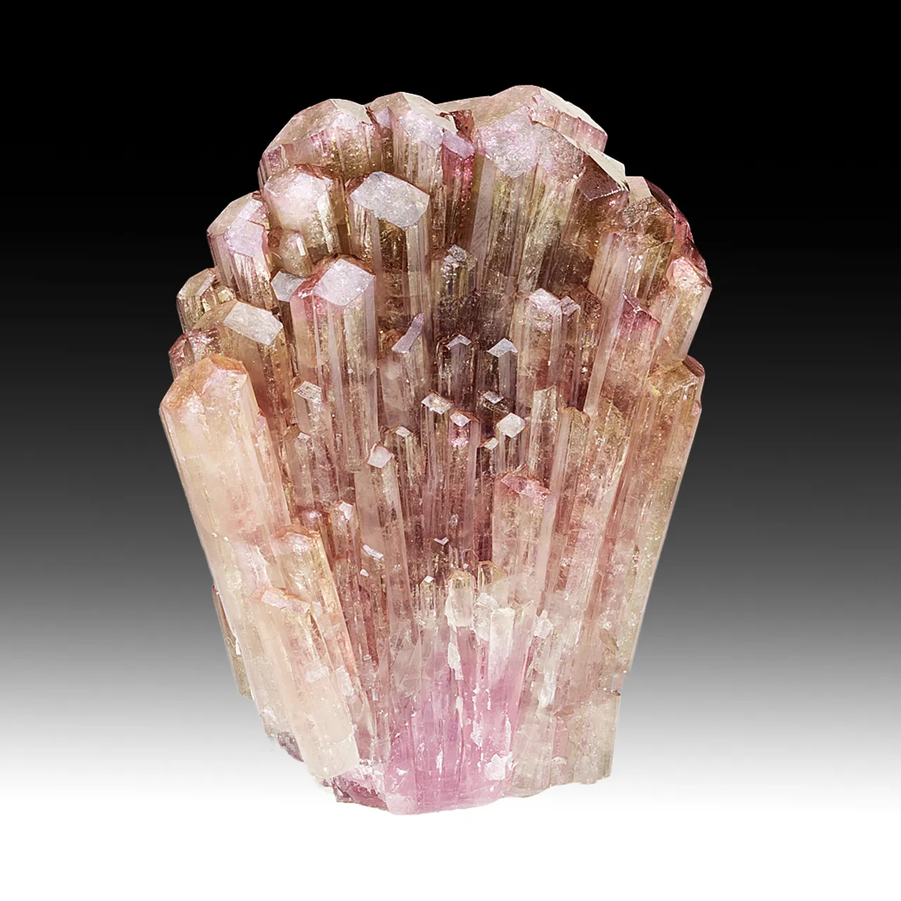 Liddicoatite - image 1