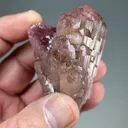 Liddicoatite - image 2