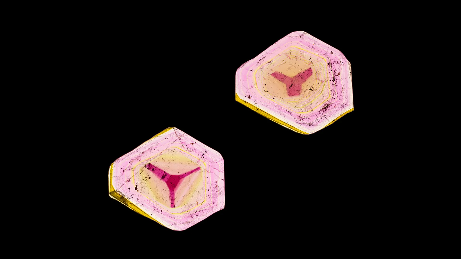 Liddicoatite - image 1