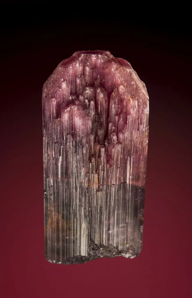 Liddicoatite image