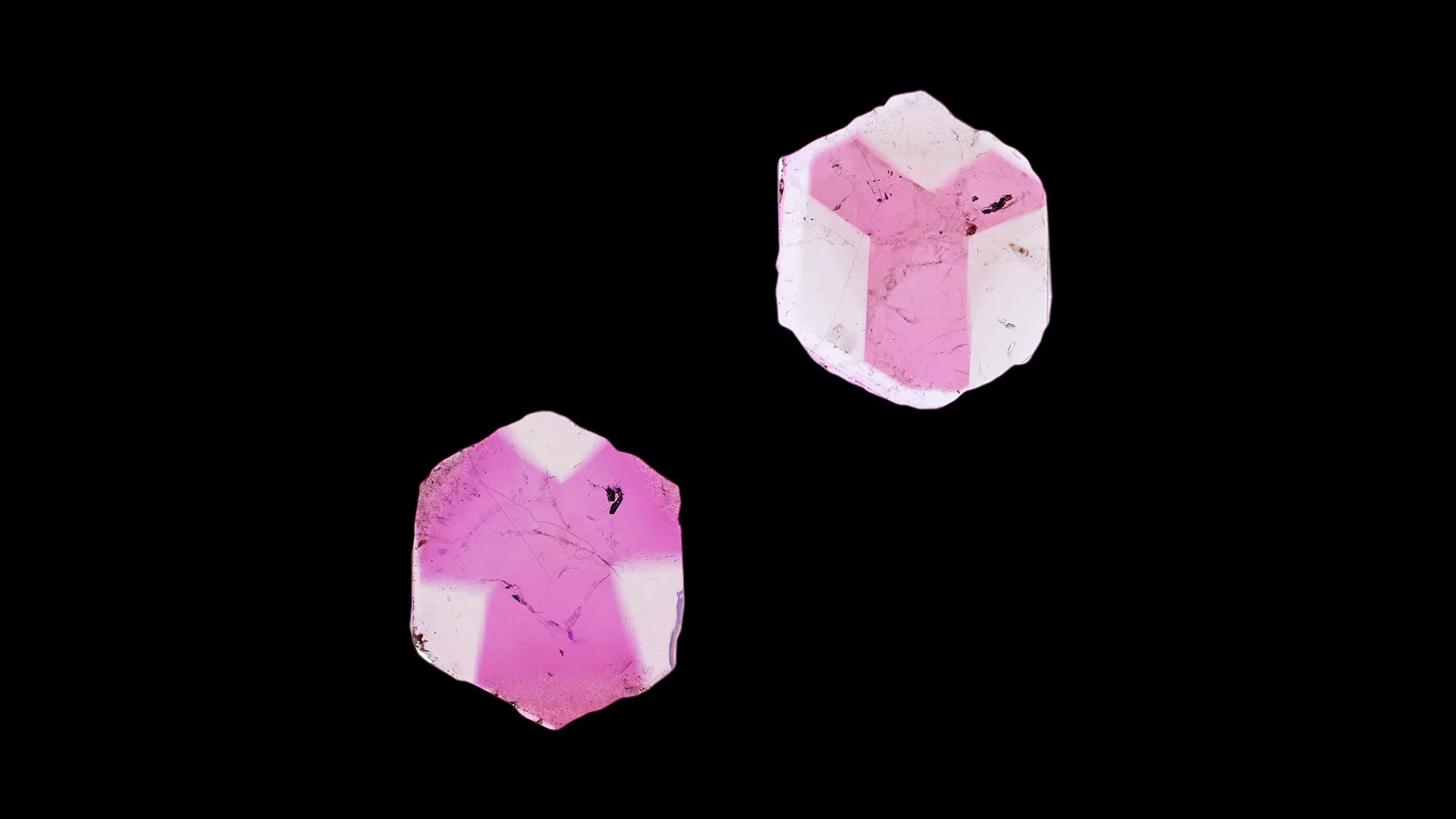 Liddicoatite - image 1