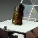 Liddicoatite - image 2