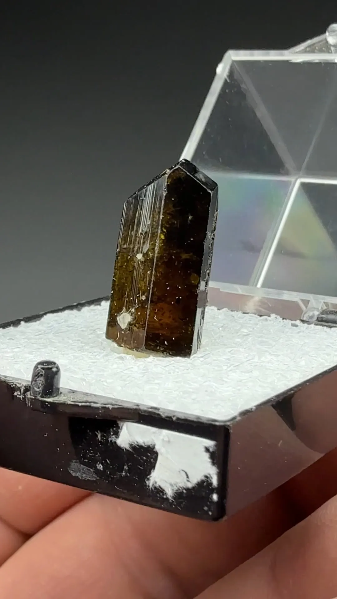 Liddicoatite - image 2