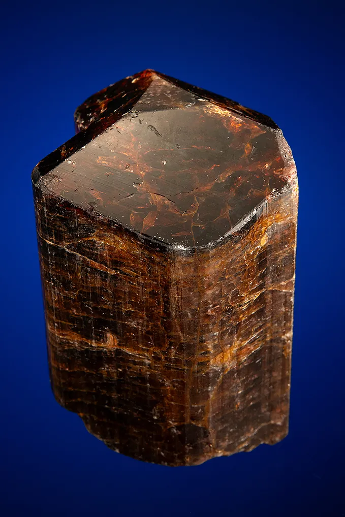 Liddicoatite image