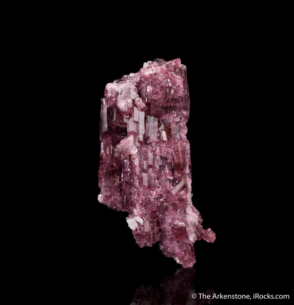 Liddicoatite - image 2