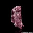 Liddicoatite - image 2