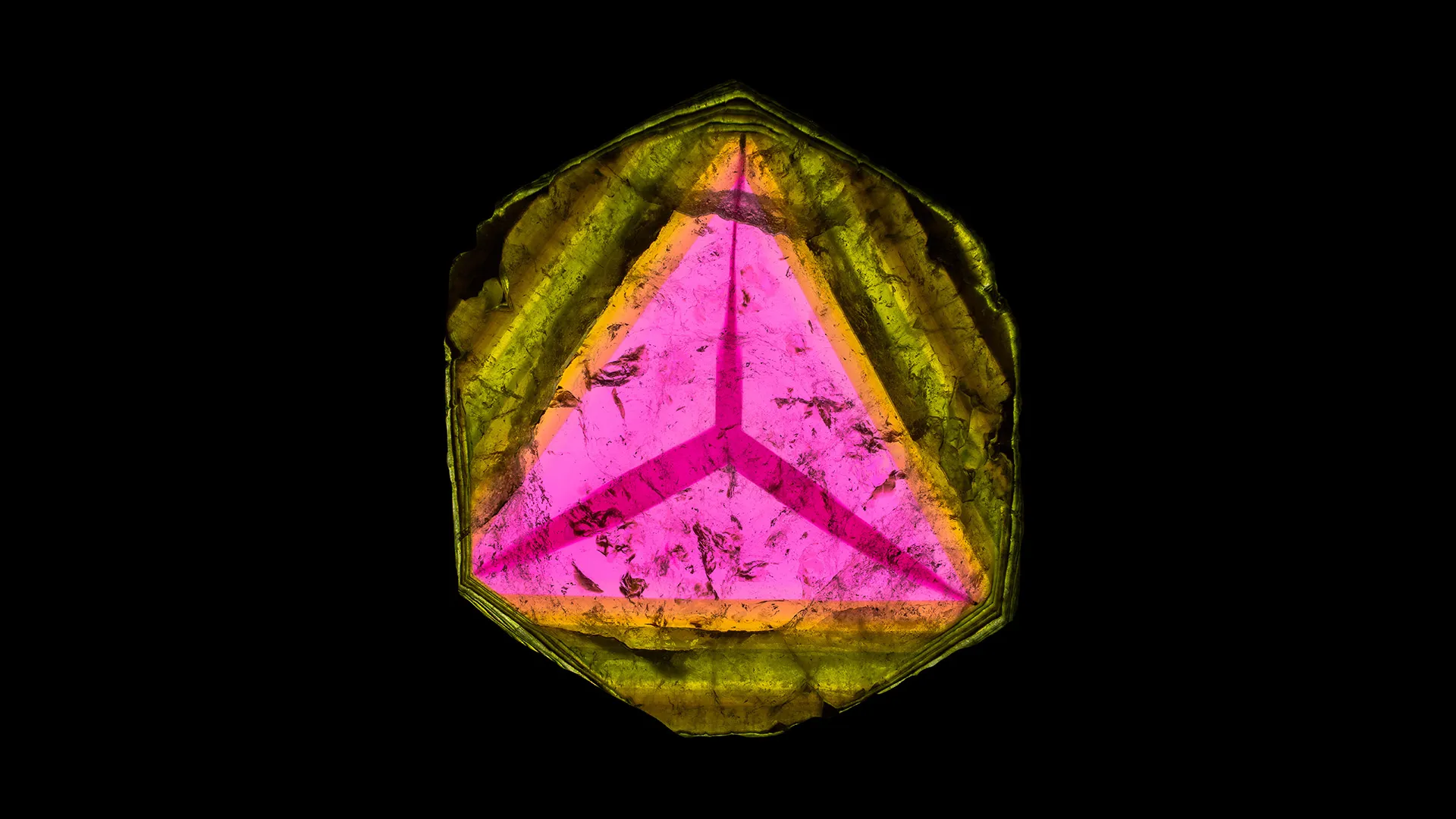 Liddicoatite - image 1