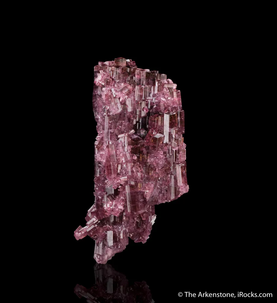 Liddicoatite image