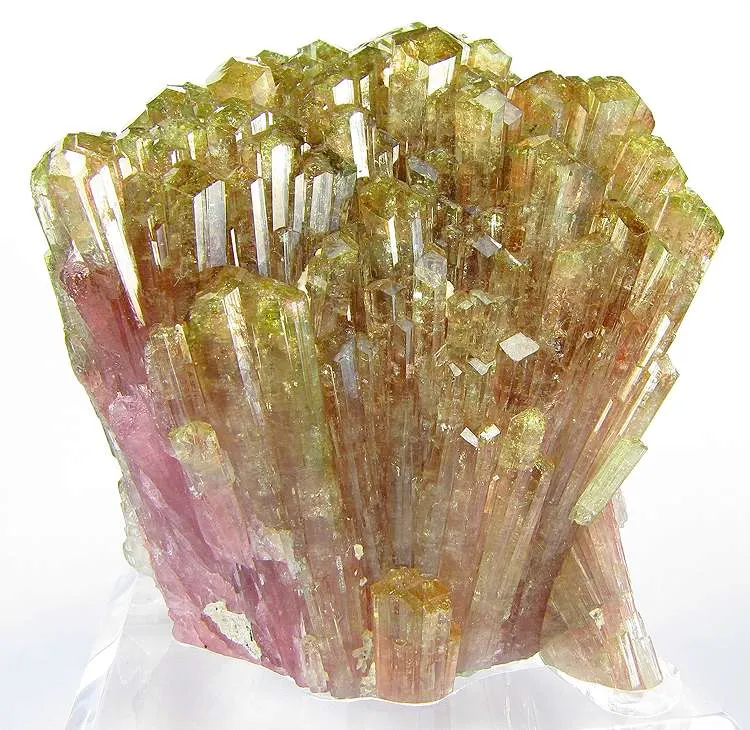 Liddicoatite image