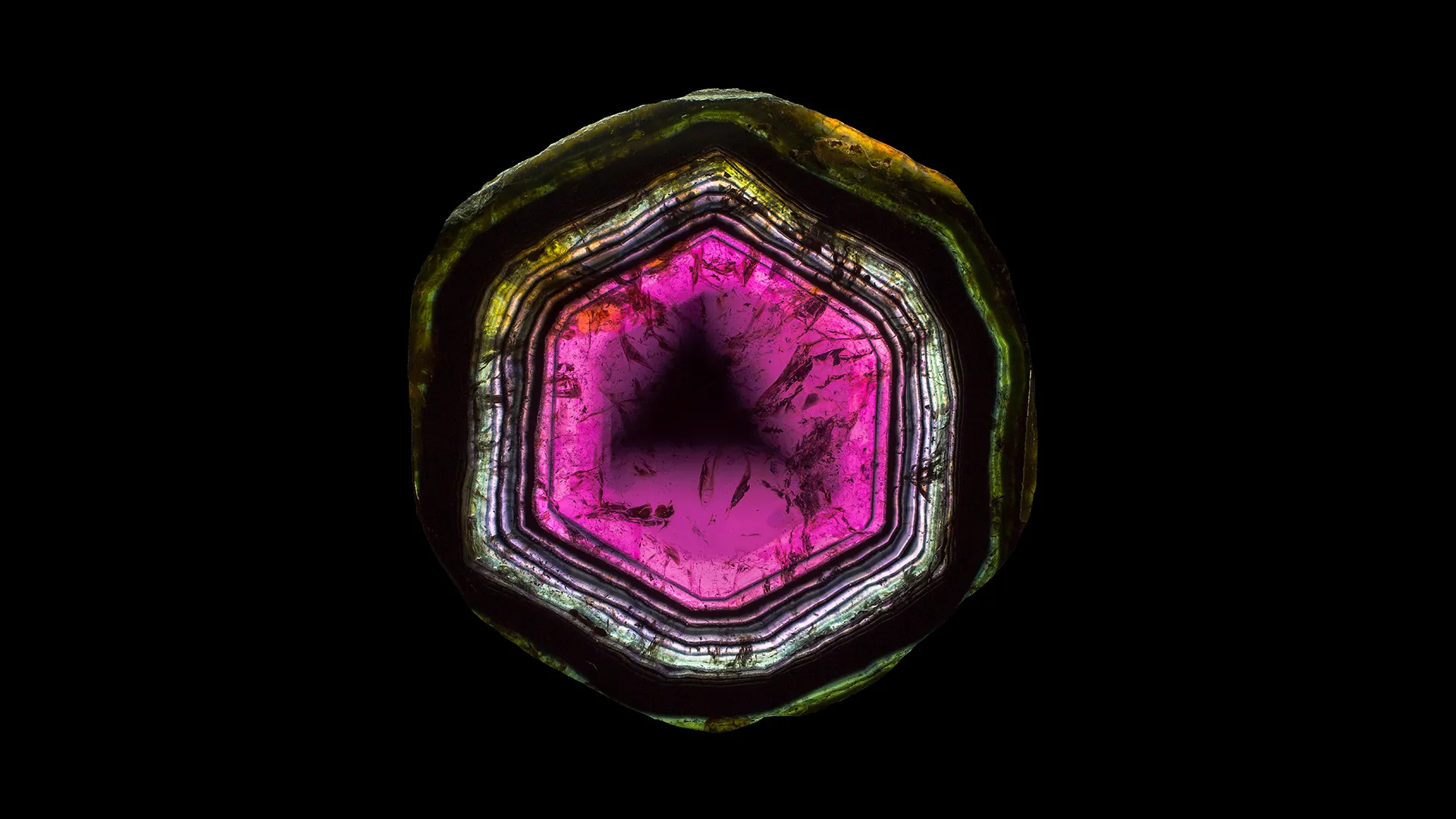 Liddicoatite - image 1