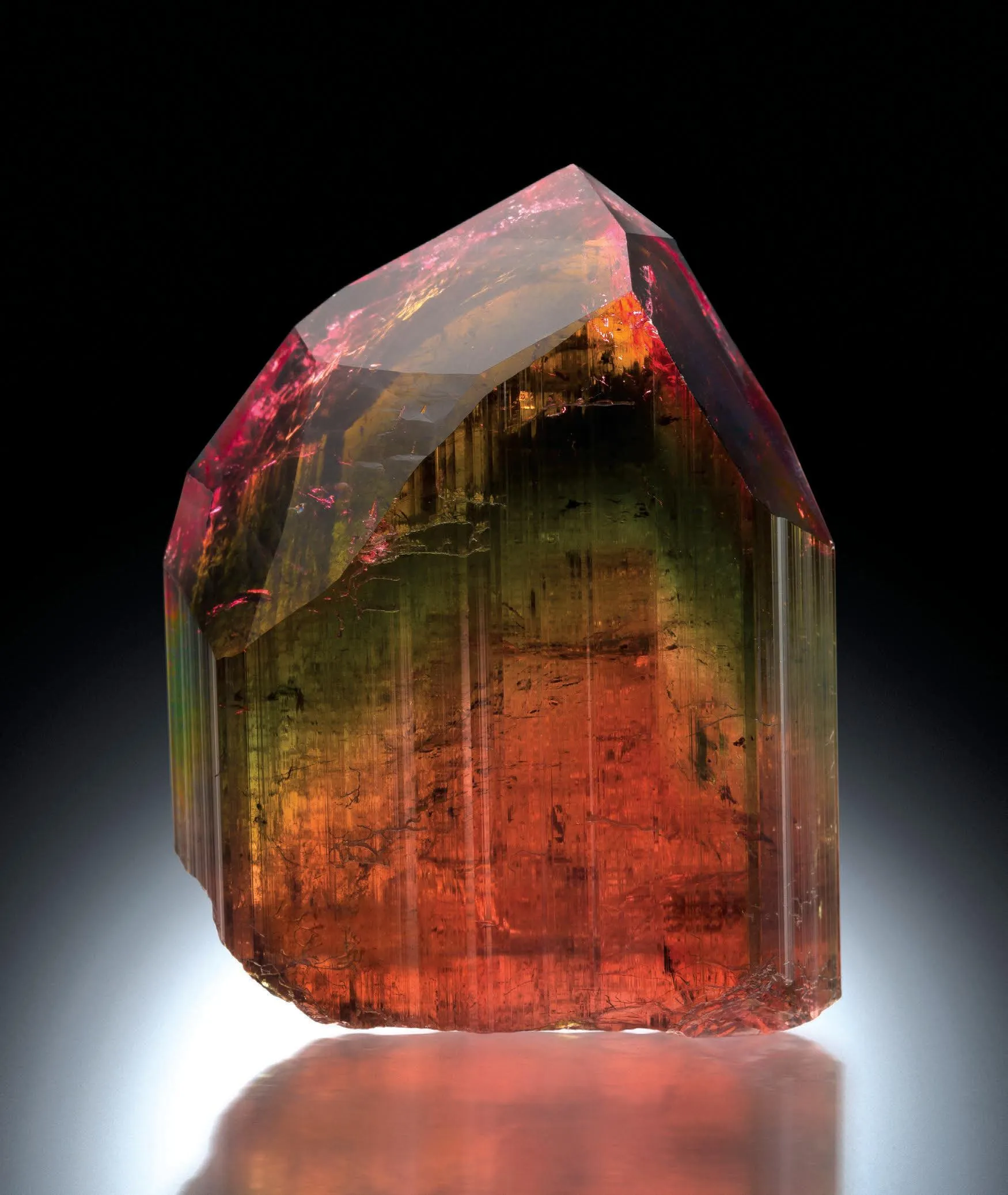 Liddicoatite - image 1