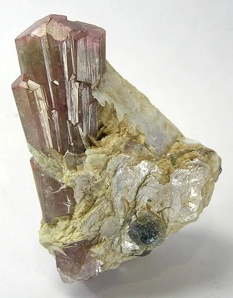 Liddicoatite - image 1