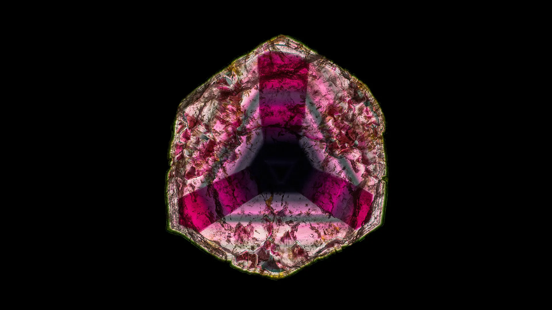 Liddicoatite - image 1