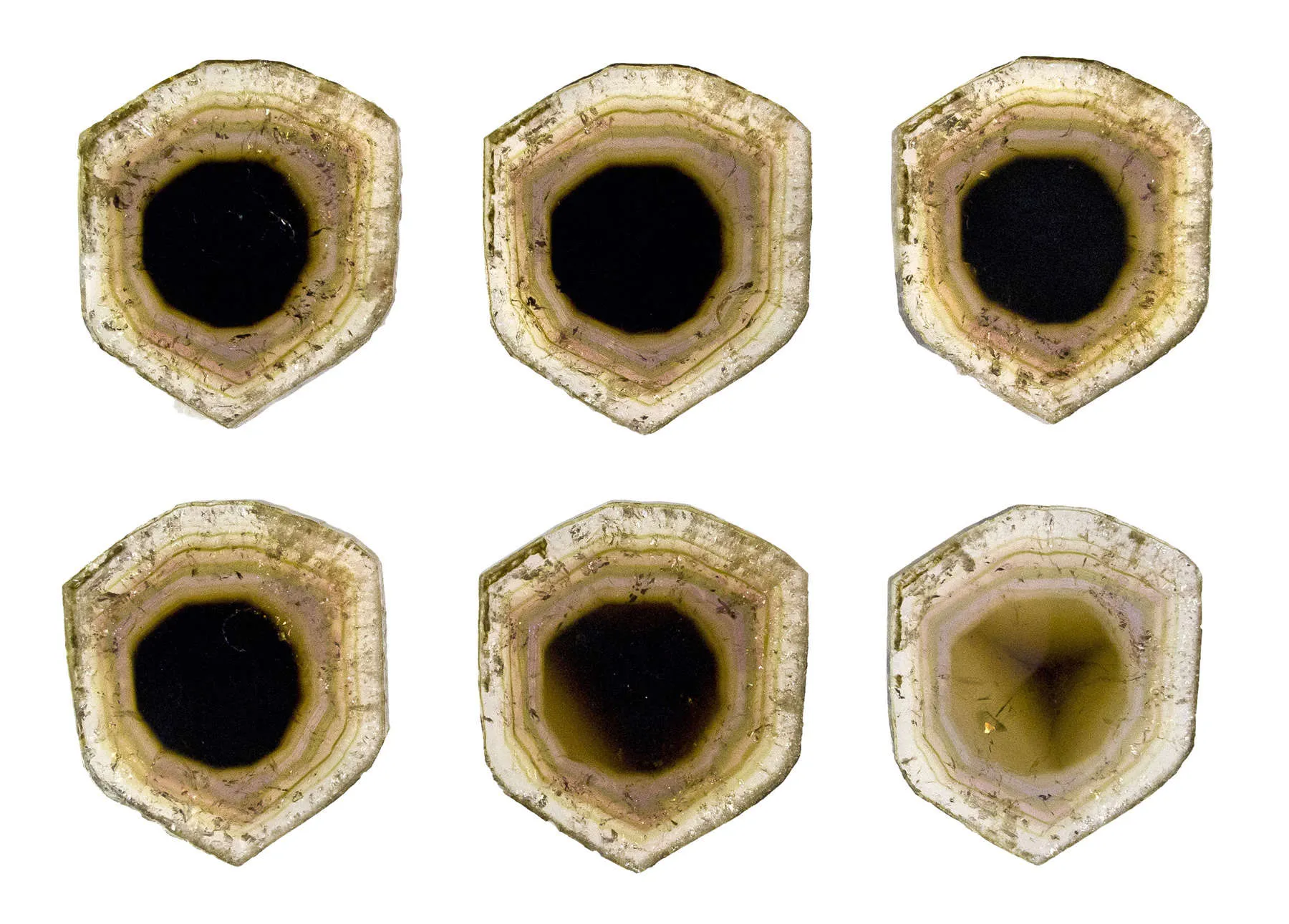 Liddicoatite - image 2