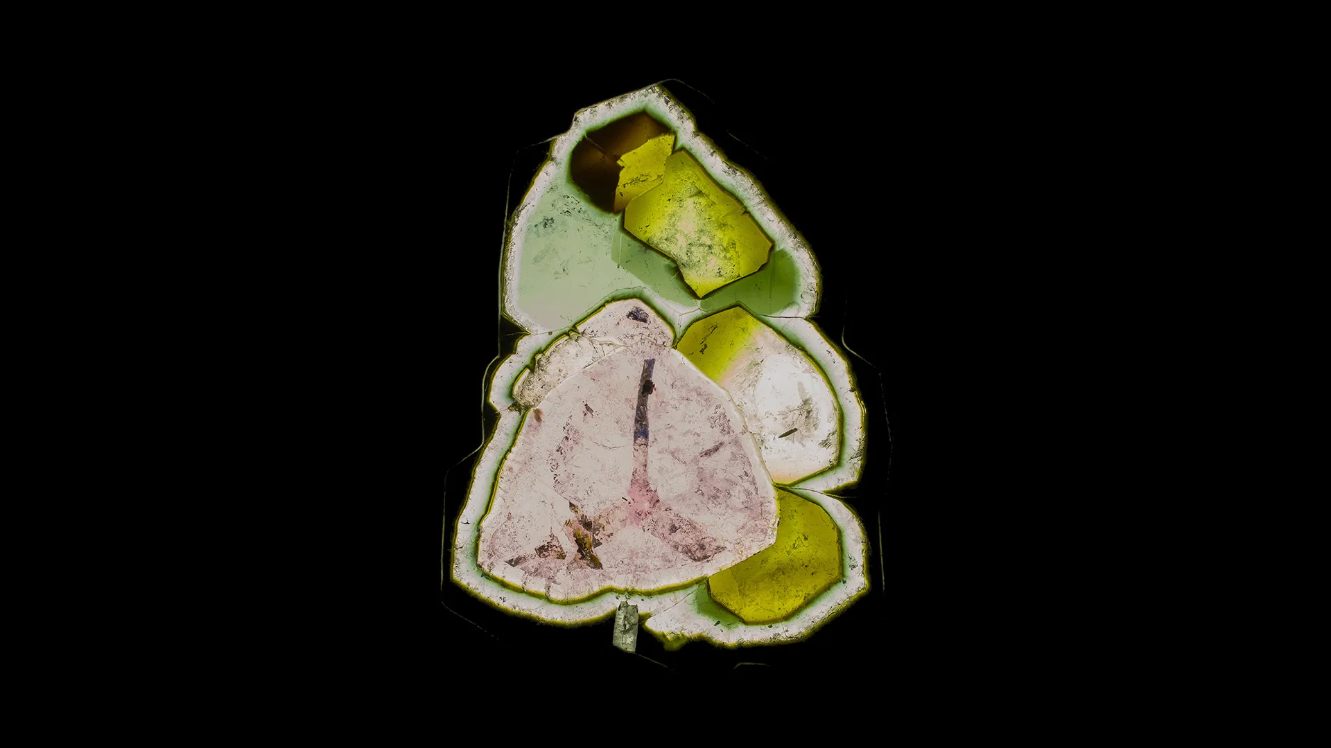 Liddicoatite - image 1