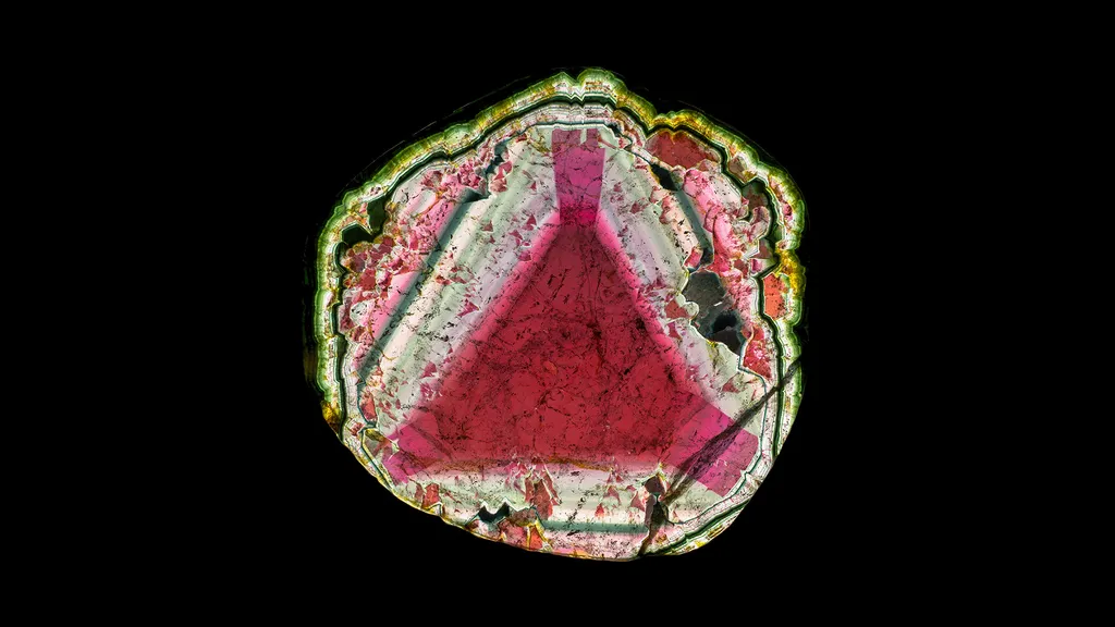Liddicoatite image