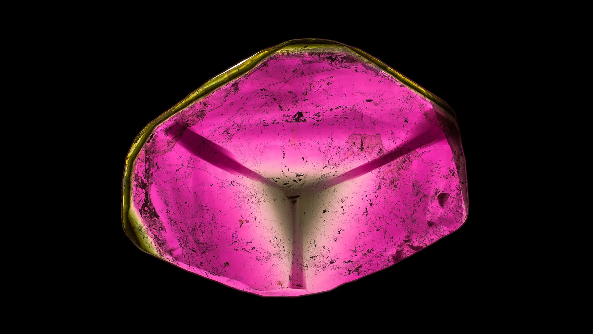 Liddicoatite - image 1