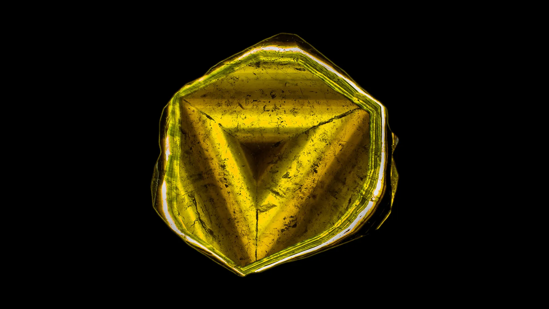 Liddicoatite - image 1