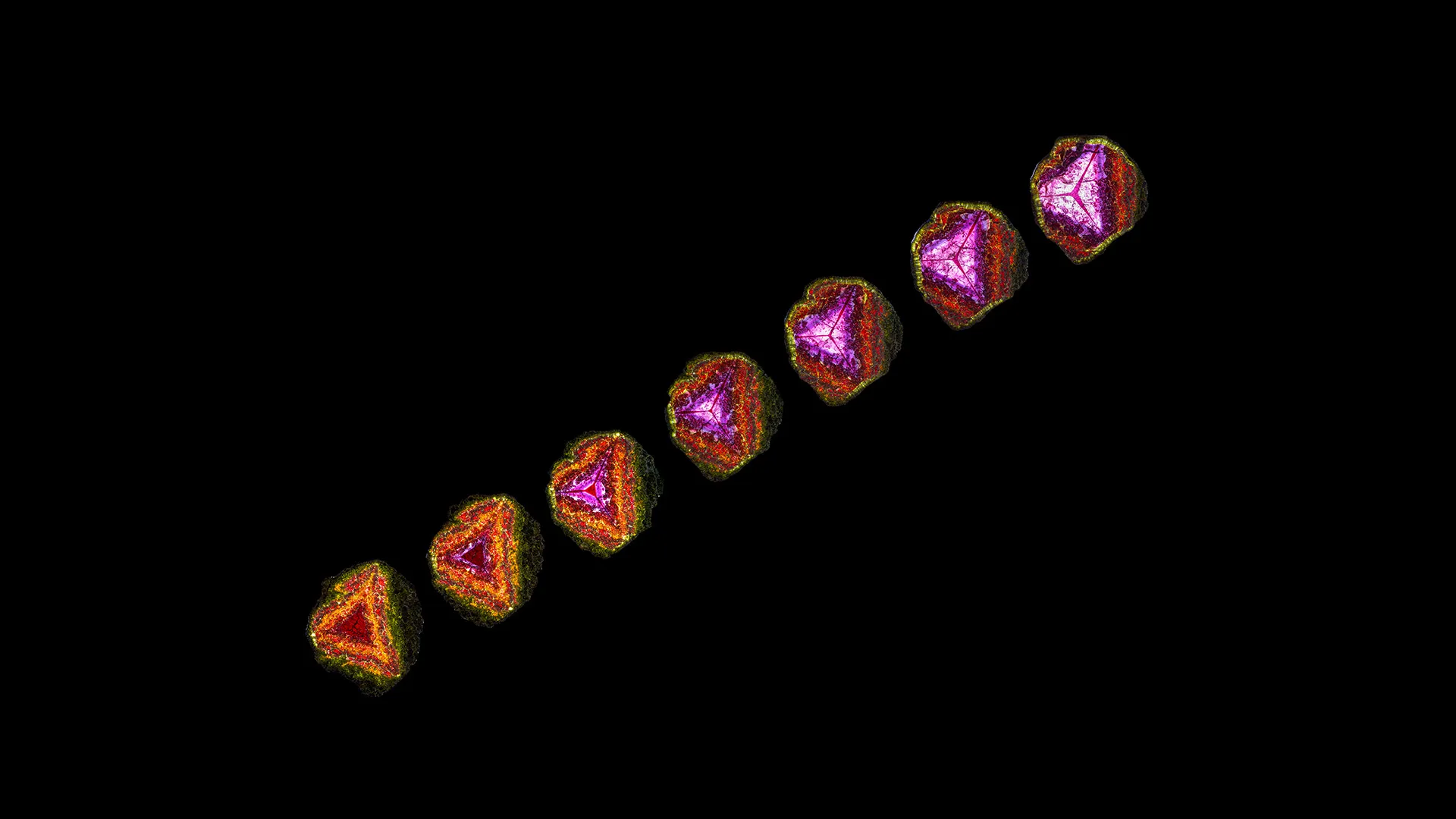 Liddicoatite - image 1