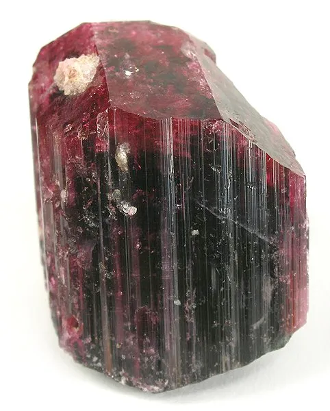 Liddicoatite image