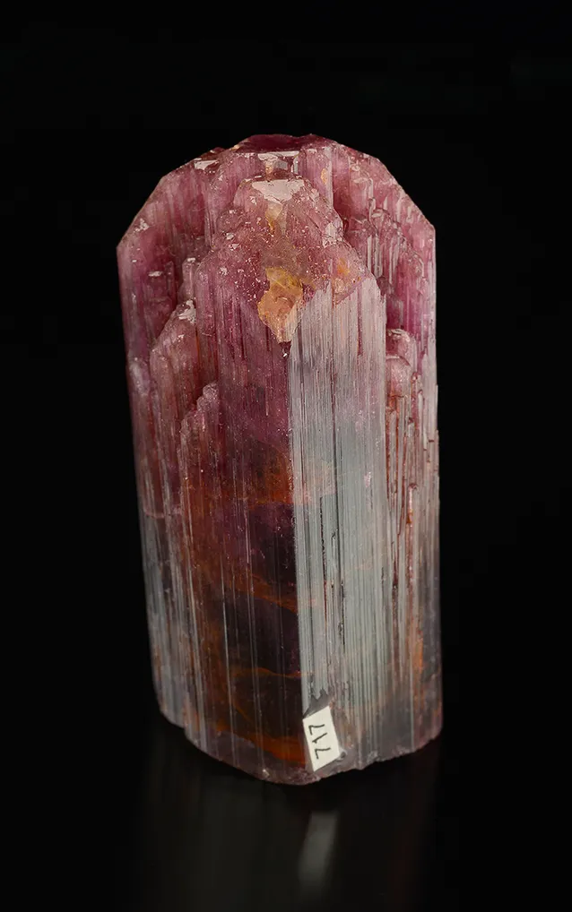 Liddicoatite - image 3