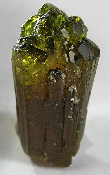 Liddicoatite - image 1