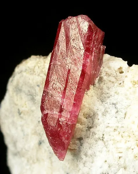 Liddicoatite - image 2
