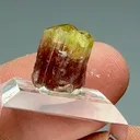 Liddicoatite - image 2