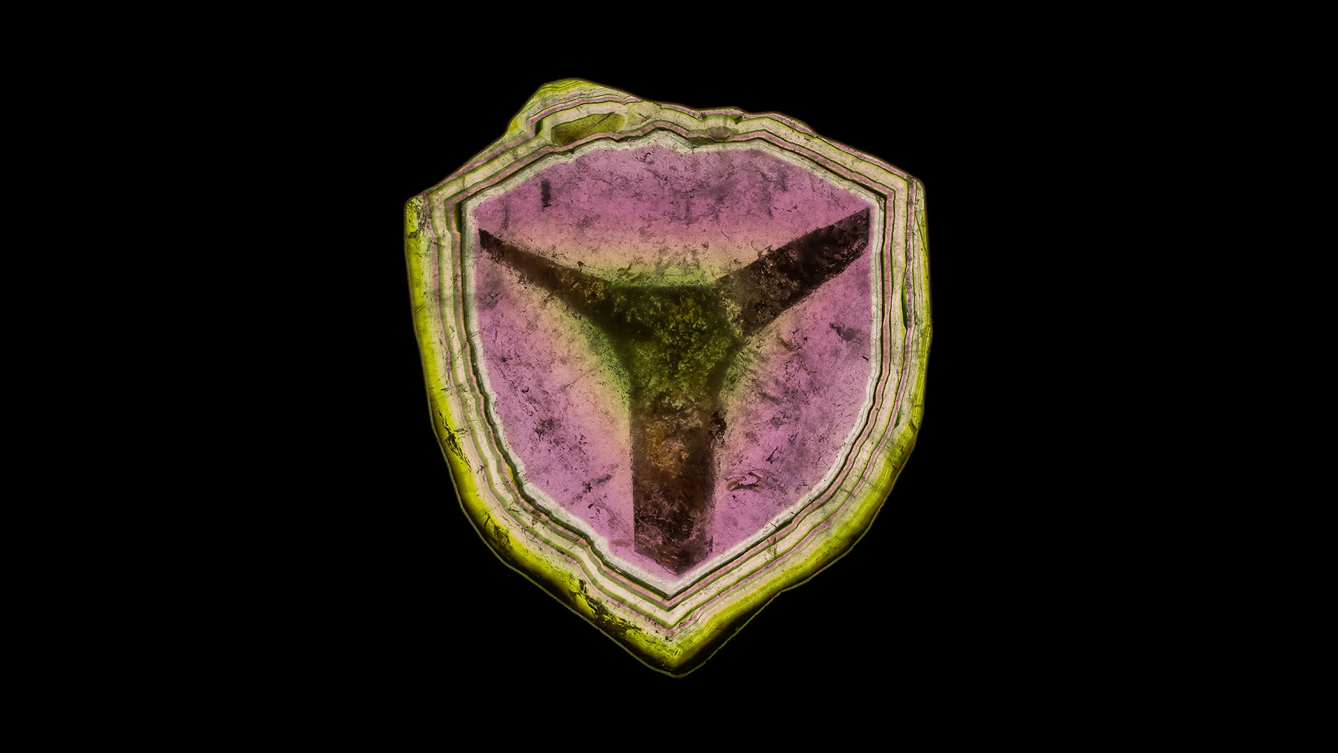 Liddicoatite - image 1