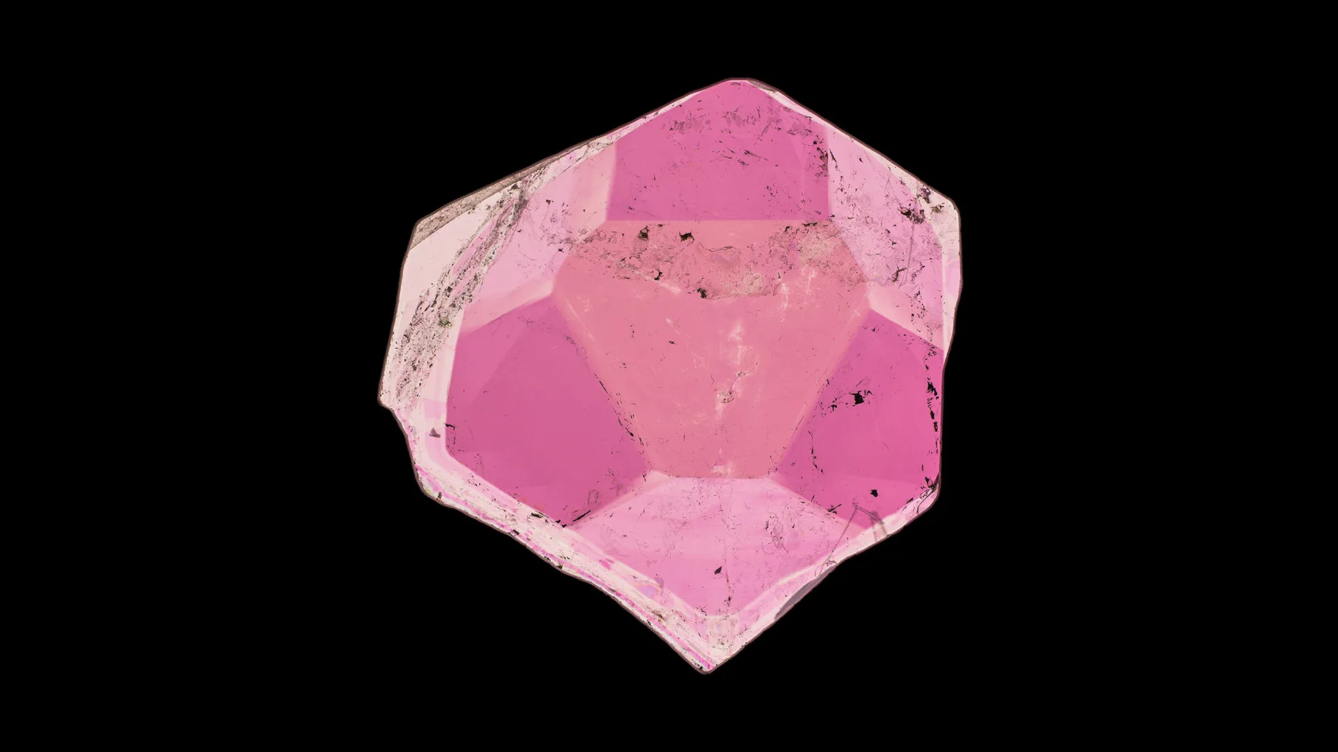 Liddicoatite - image 1