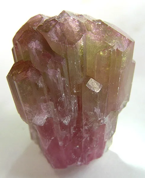Liddicoatite image