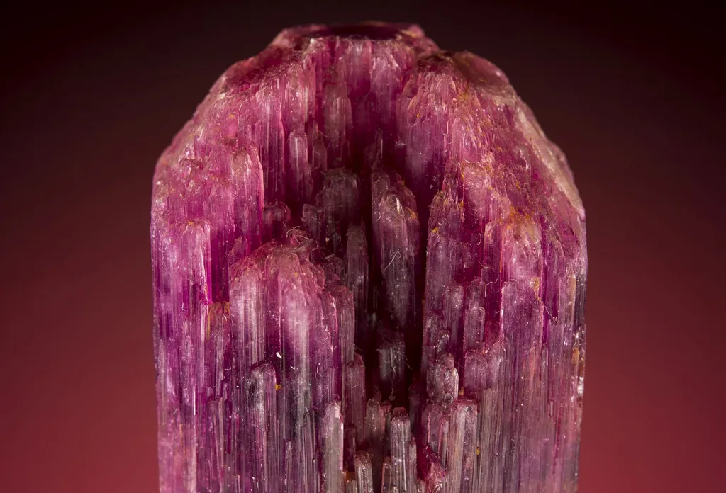 Liddicoatite - image 2
