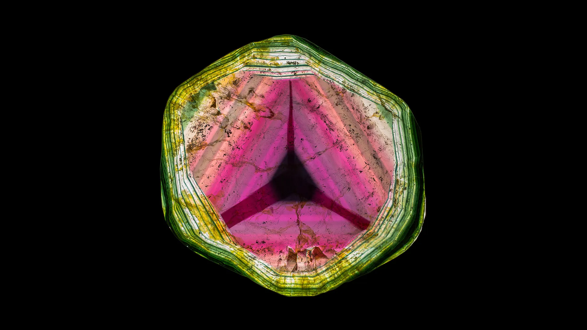 Liddicoatite - image 1