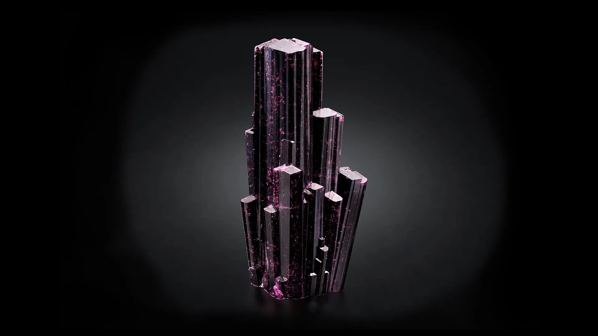 Liddicoatite - image 1