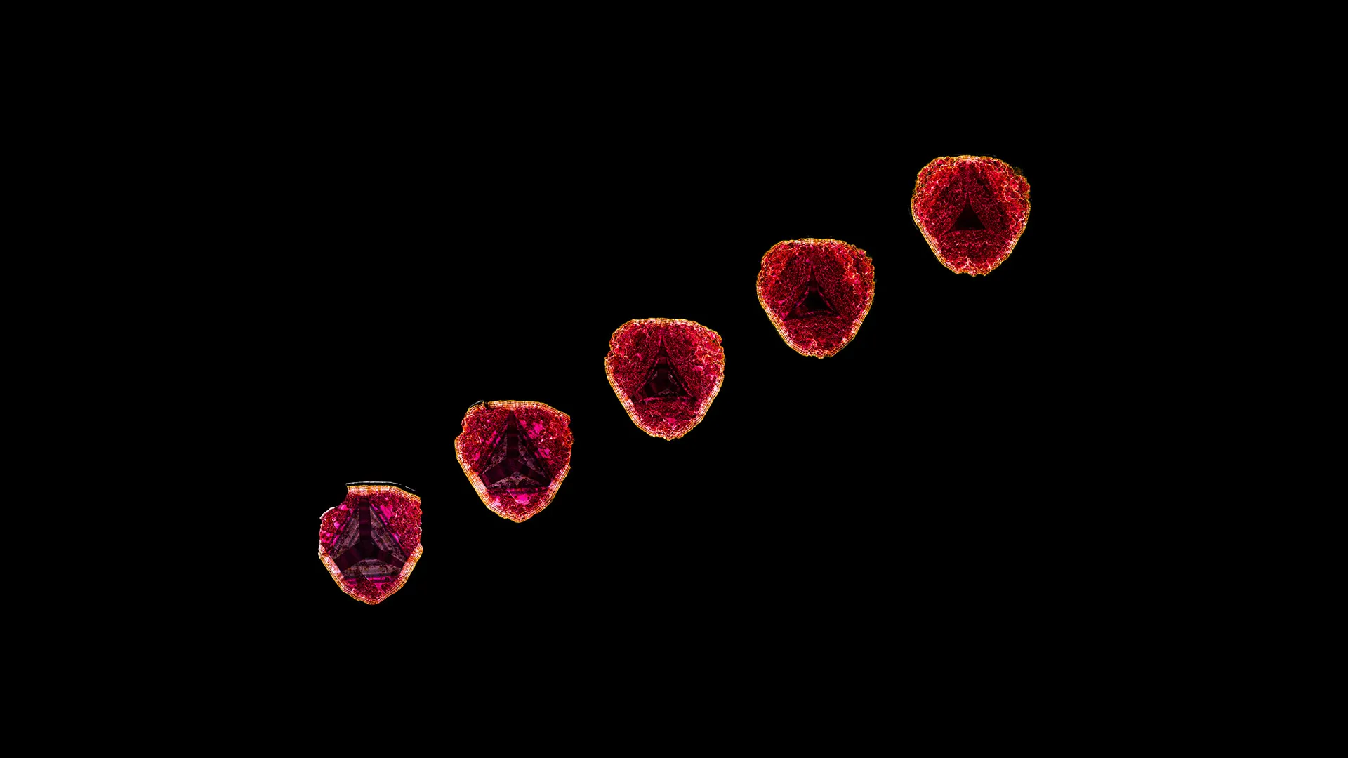 Liddicoatite - image 1