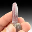 Liddicoatite - image 1