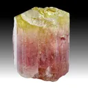 Liddicoatite - image 1