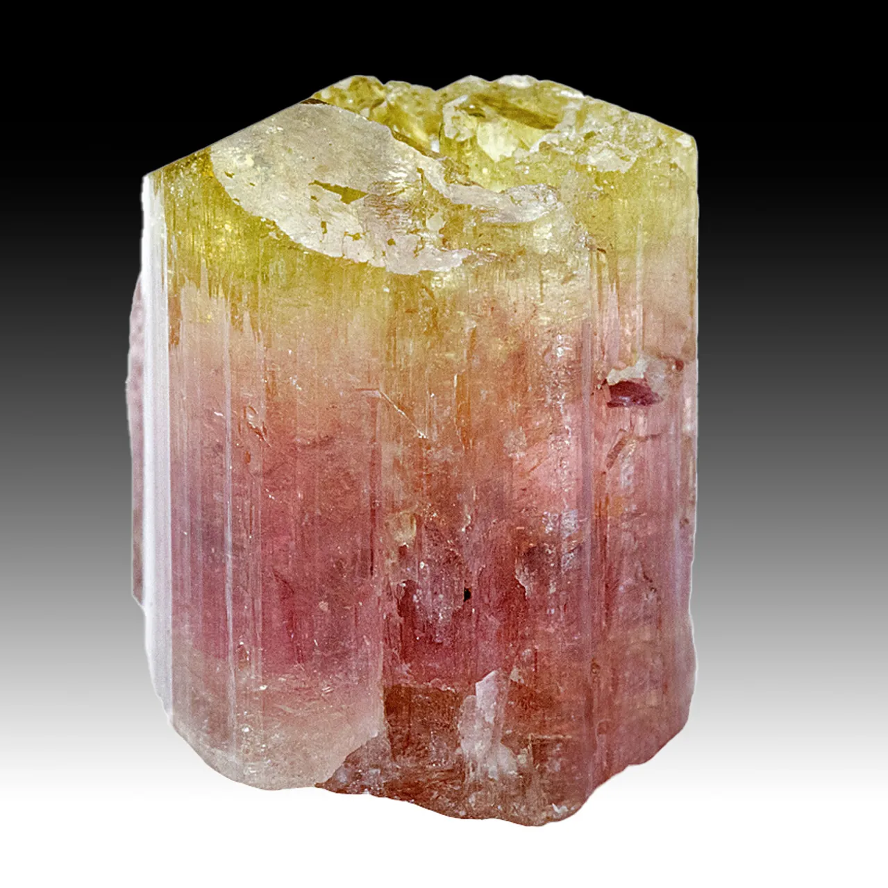 Liddicoatite - image 1