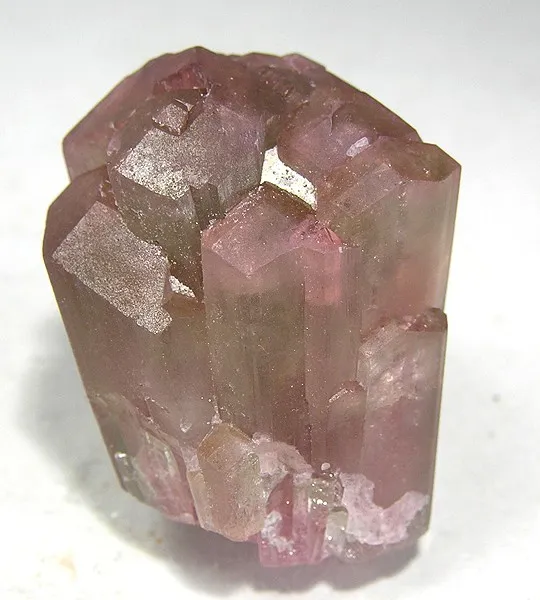 Liddicoatite image