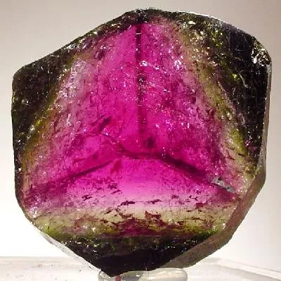 Liddicoatite image