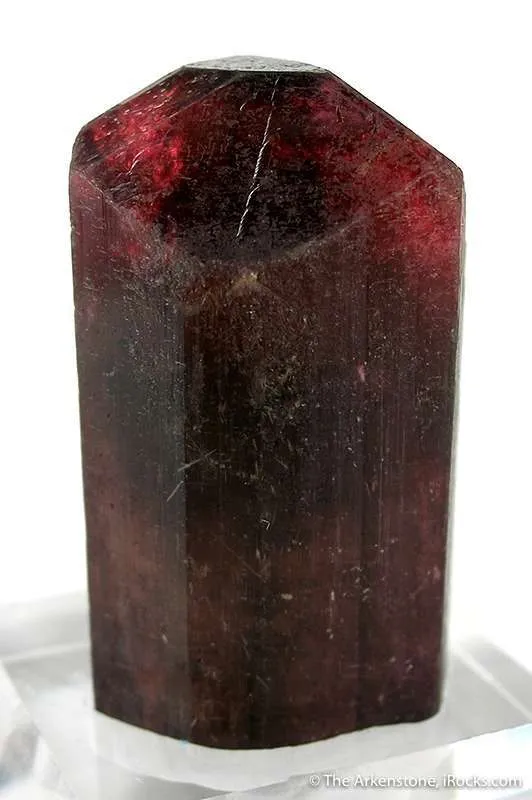 Liddicoatite image