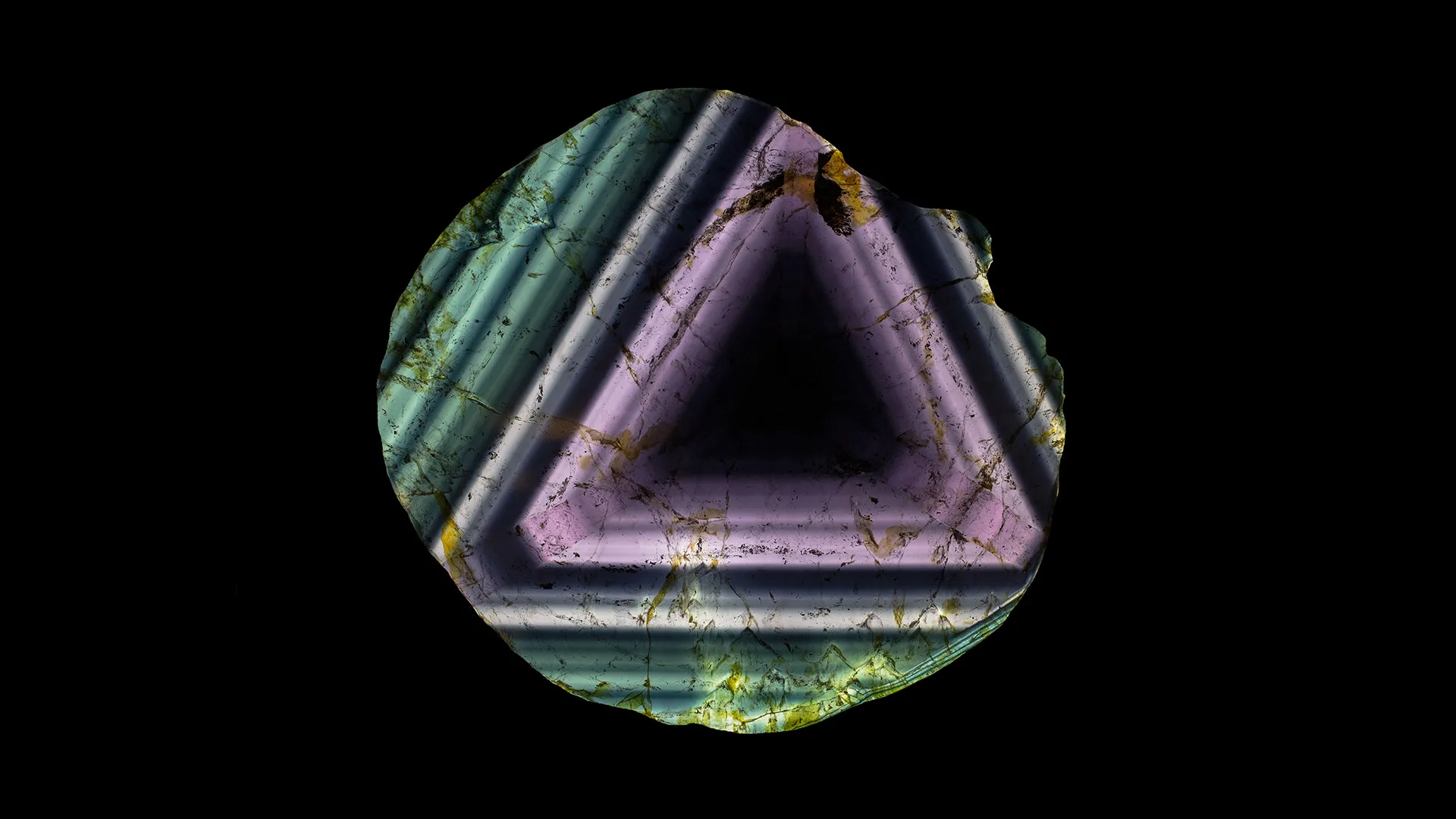 Liddicoatite - image 1