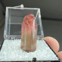 Liddicoatite - image 2