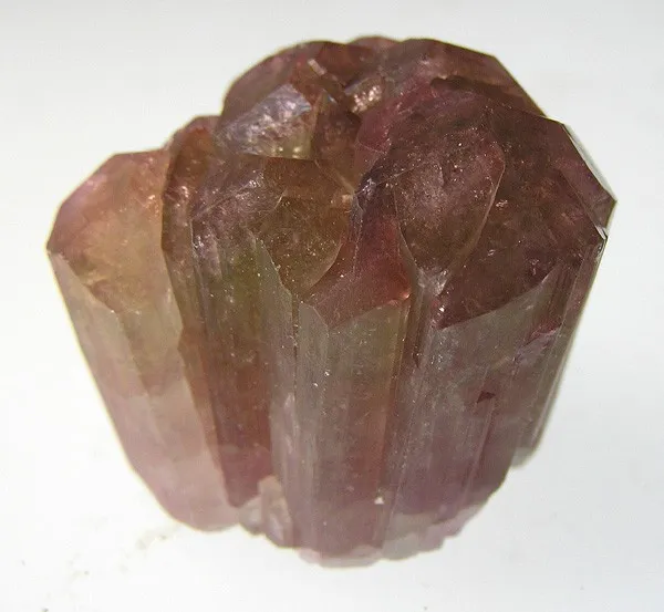 Liddicoatite image