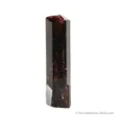 Liddicoatite - image 2