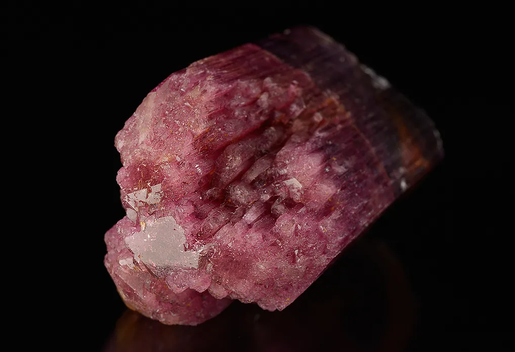 Liddicoatite - image 4