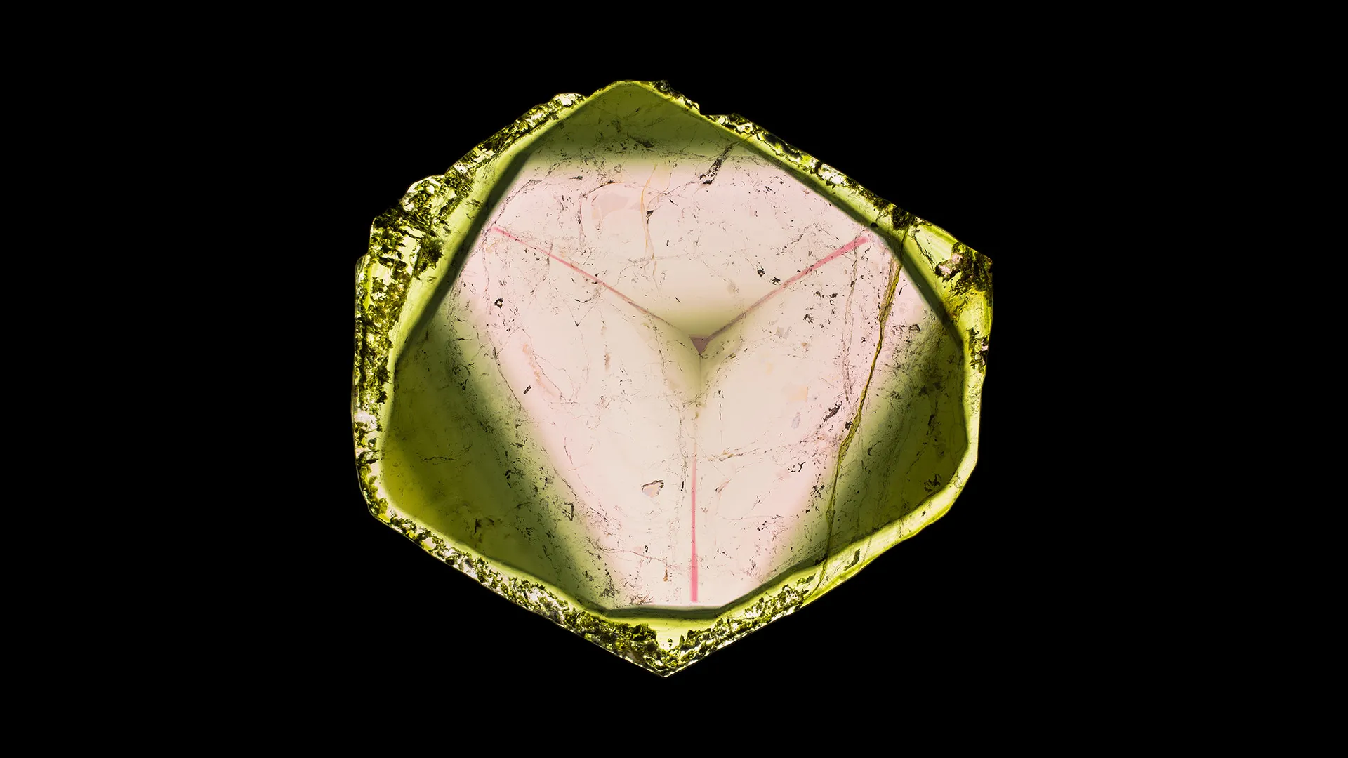 Liddicoatite - image 1